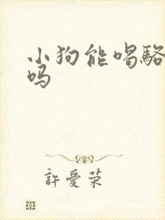 小狗能喝骆驼奶吗