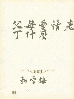 父母爱情老丁叫丁什么封面