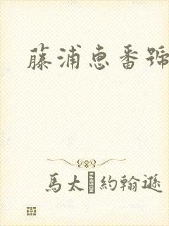 藤浦惠番号大全