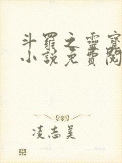 斗罗之灵宝斗罗小说免费阅读