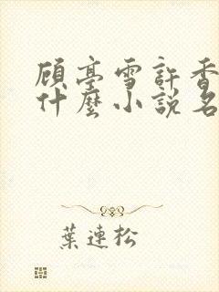 顾亭雪许香君叫什么小说名字