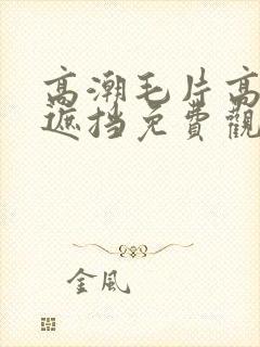 高潮毛片高清无遮挡免费观看封面