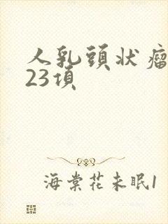 人乳头状瘤病毒23项