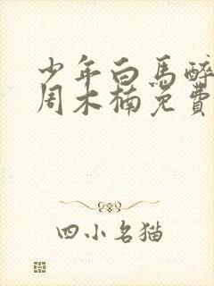 少年白马醉春风周木楠免费