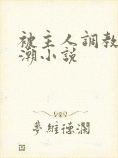 被主人调教到高潮小说