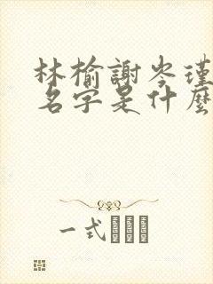 林榆谢岑瑾小说名字是什么