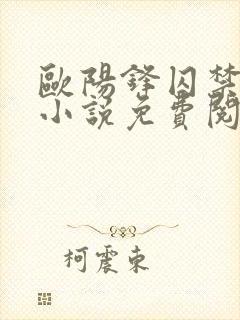 欧阳锋囚禁黄蓉小说免费阅读