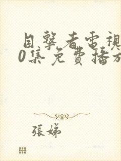 目击者电视剧40集免费播放