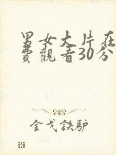 男女大片在线免费观看30分钟