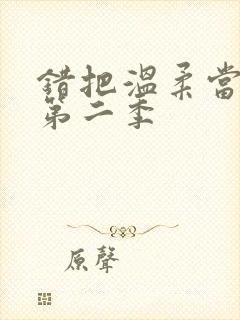 错把温柔当情深第二季