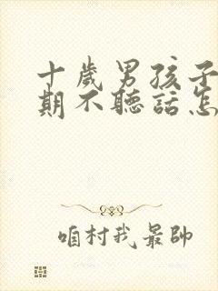 十岁男孩子叛逆期不听话怎么办封面