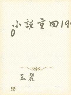 小说重回1990