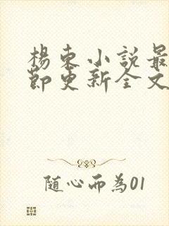 杨东小说最新章节更新全文阅读