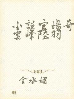 小说官场奇才刘云峰陆羽封面