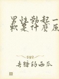 男性勃起一会就软是什么原因