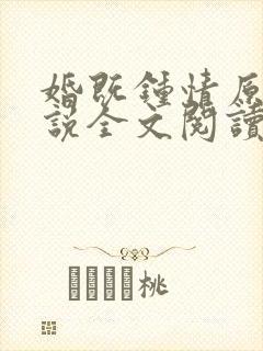 婚既钟情原著小说全文阅读