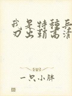 我是特种兵之利刃出鞘高清