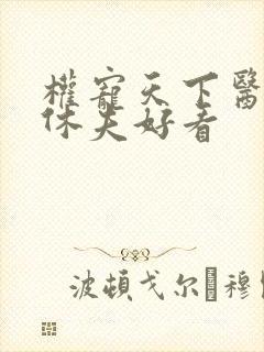 权宠天下医妃要休夫好看