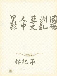 黑人亚洲国产精彩中文乱码av封面