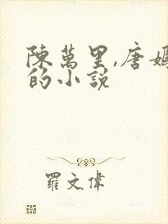 陈万里,唐嫣然的小说