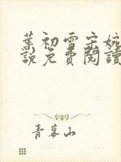 叶初雪宋婉琳小说免费阅读最新章节封面