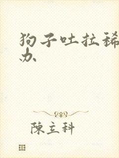 狗子吐拉稀怎么办