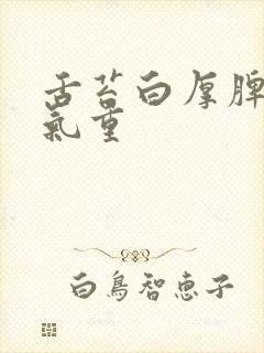 舌苔白厚脾虚湿气重