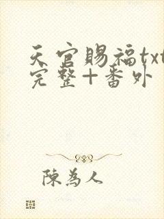 天官赐福txt完整+番外 txt下载