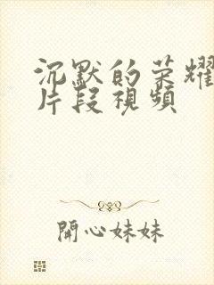 沉默的荣耀精彩片段视频