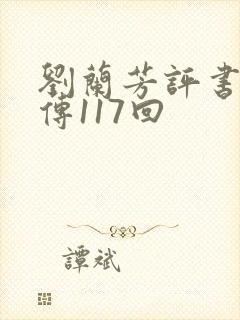 刘兰芳评书岳飞传117回