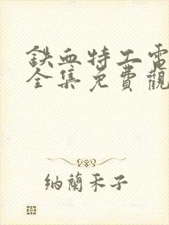 铁血特工电视剧全集免费观看封面