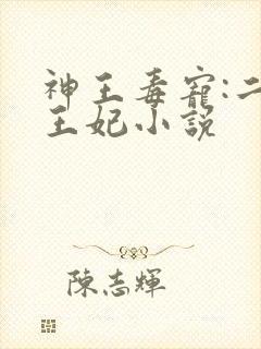 神王毒宠:二嫁王妃小说