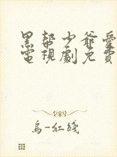 黑帮少爷爱上我电视剧免费观看全集高清