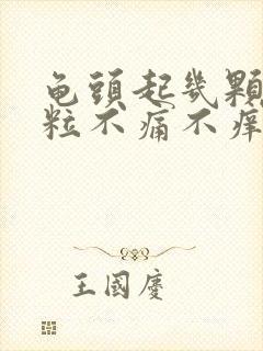 龟头起几颗小肉粒不痛不痒封面