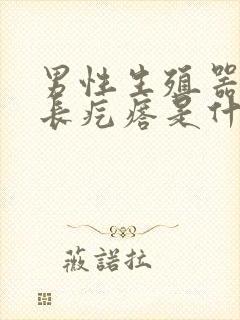 男性生殖器根部长疙瘩是什么