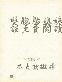 双胞胎姐妹花小说免费阅读