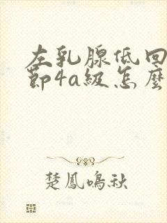 左乳腺低回声结节4a级怎么治疗