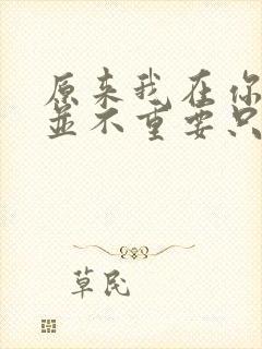 原来我在你心里并不重要只是偶尔被需要