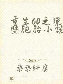 重生60之猎艳双胞胎小说免费阅读