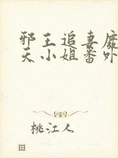 邪王追妻废材逆天小姐番外