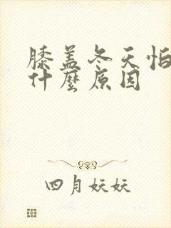 膝盖冬天怕冷是什么原因封面