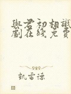 与君初相识电视剧在线免费观看全集