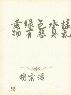 黄绿色水样分泌物有恶臭气味