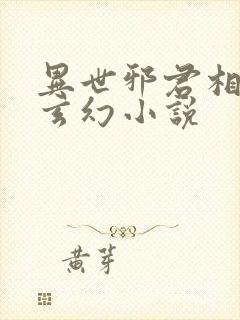 异世邪君相似的玄幻小说