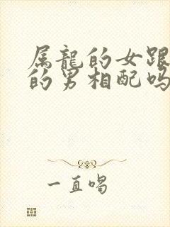 属龙的女跟属兔的男相配吗封面