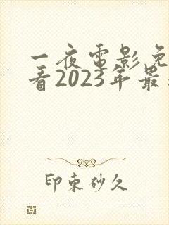 一夜电影免费观看2023年最新款的电视剧封面