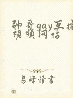 帅哥gay互操视频网站