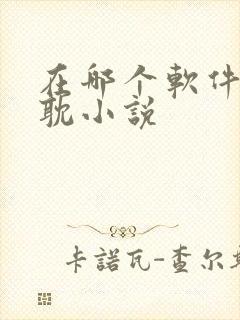 在哪个软件看原耽小说