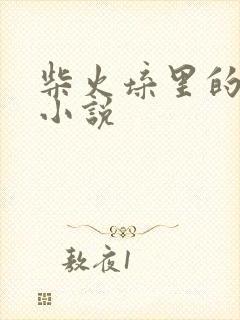 柴火垛里的疯狂小说封面