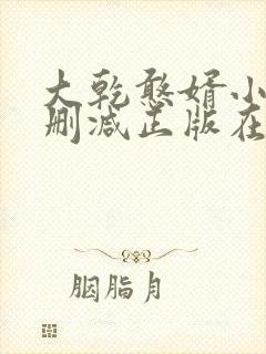 大乾憨婿小说无删减正版在线阅读